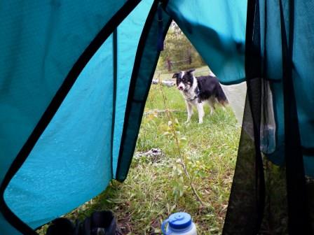 Ryder out side of tent